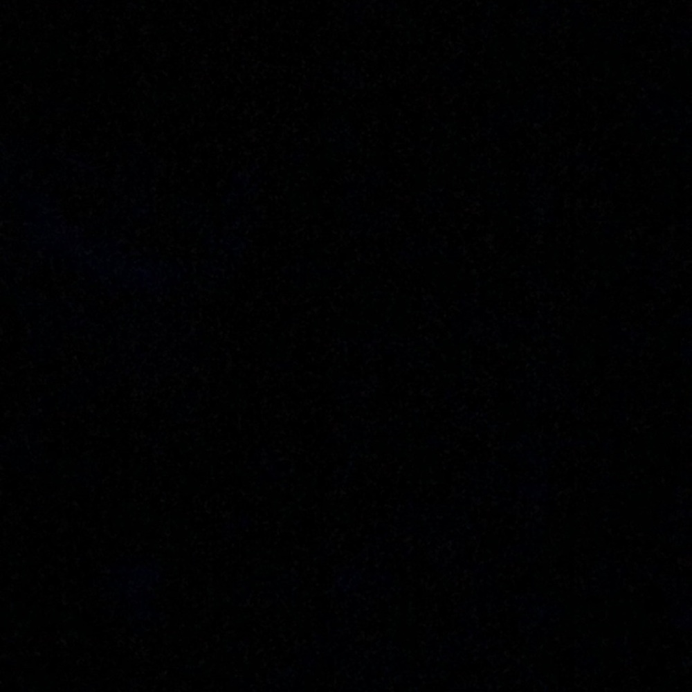 Meet your Posher, Isabella